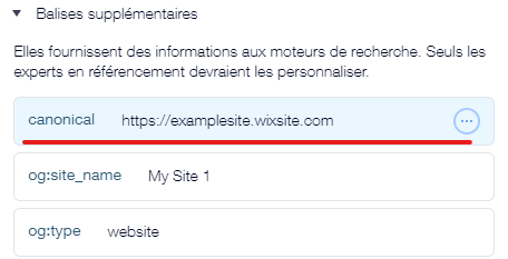 wix canonical tag step 5